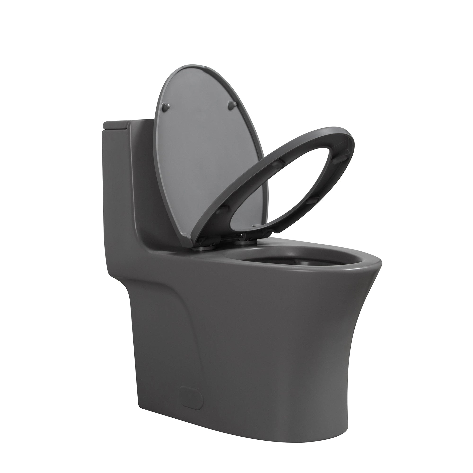 1.1/1.6 GPF Dual Flush One-piece Elongated Toilet with Soft-Close Seat