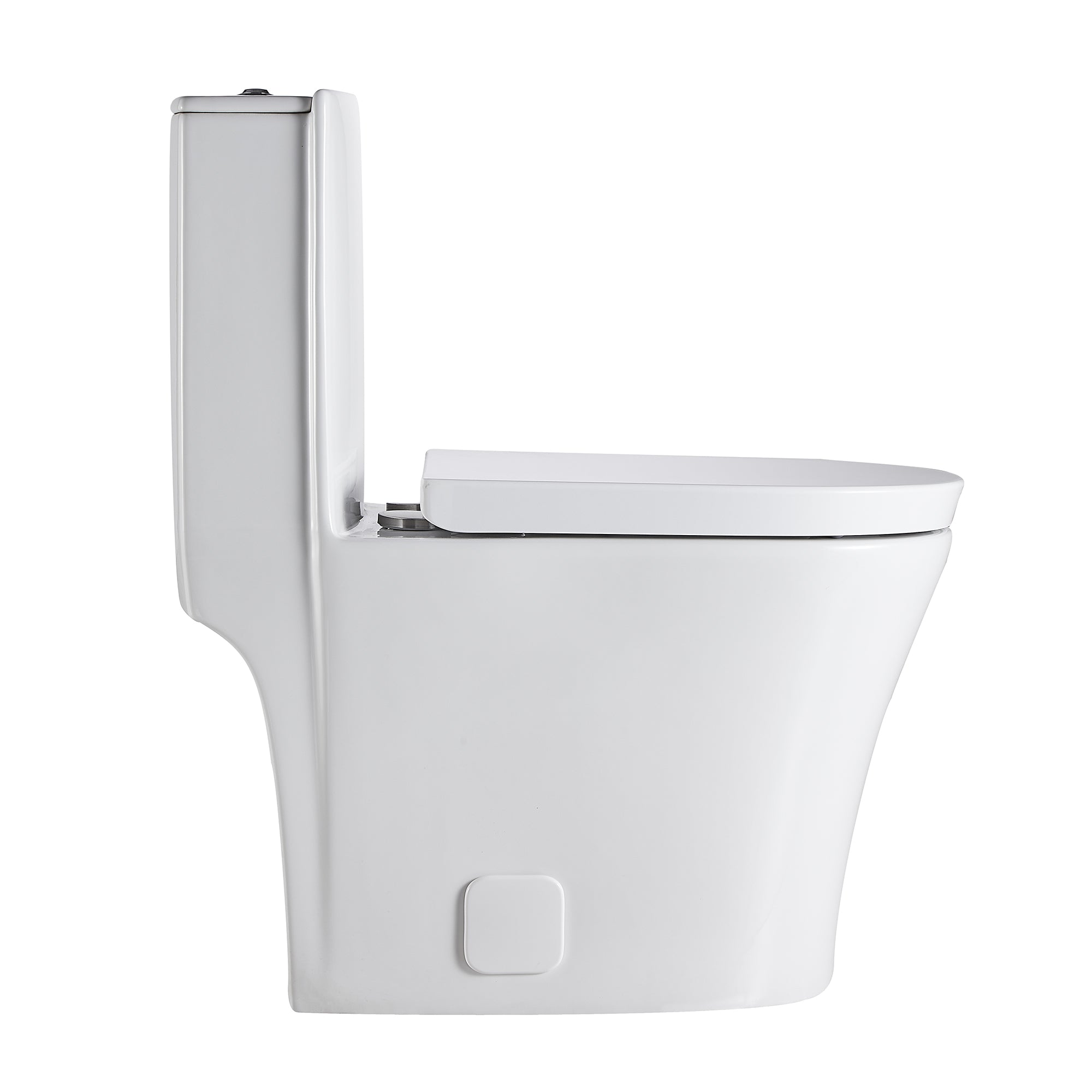 1-piece 0.88/1.28 GPF Dual Flush Elongated Toilet in White Seat Included
